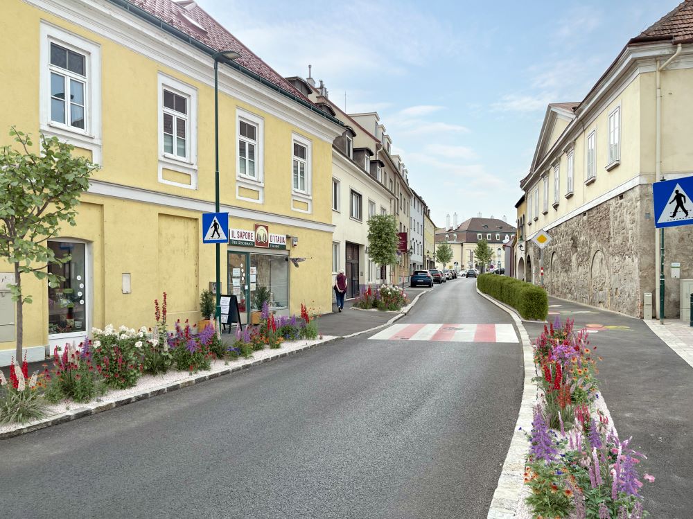 Bepflanzung am Straßenrand